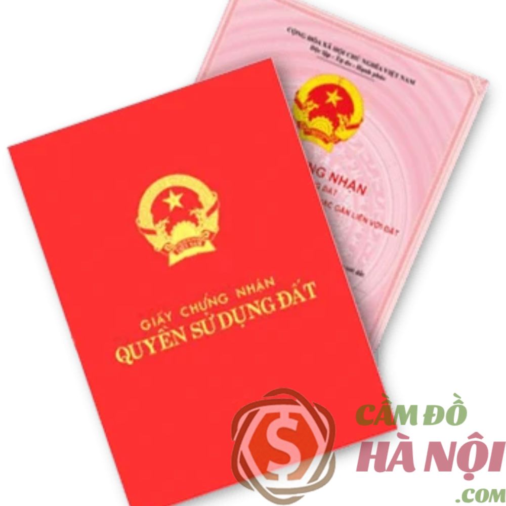 Trải nghiệm thực tế và sự khác biệt của Camdophoyen.com